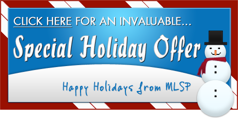 MLSP Holiday Gift