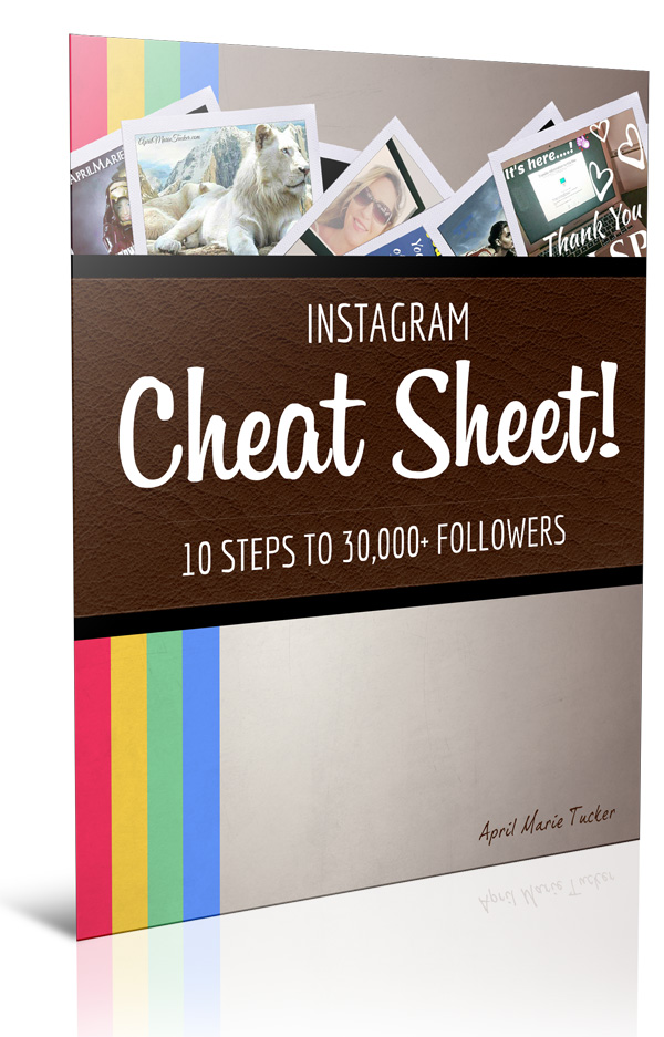 Instagram 10-Point PDF Cheat-Sheet to Get 21+ Leads Per Day - 600 x 937 jpeg 163kB